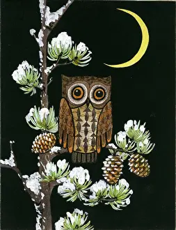 Cones: Owl on pine tree