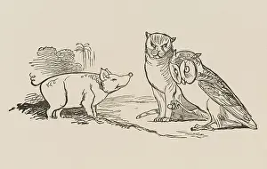 Pussycat: Owl and the Pussy-Cat, Edward Lear