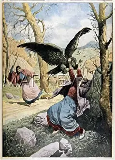 Countrywomen: OWL SAVED FROM EAGLE