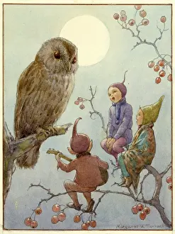 Serenade: An owl being serenaded by three elves