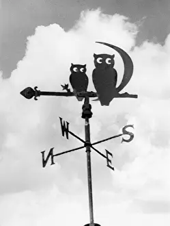 Weathervane: OWL WEATHERVANE