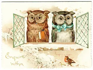 Enquire: Two owls on a Christmas card