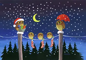 Jane Gordon Clark: Five Owls in Moonlight