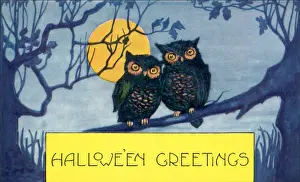 Haloween: Owls in Moonlight