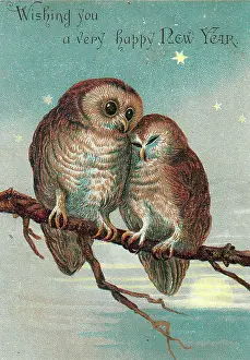 Victorian Style: Two owls on a New Year card