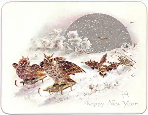 Sleighing: Three owls on a New Year card