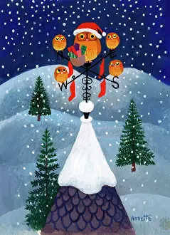 Weathervane: Owls perched on a weathervane