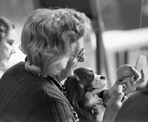 Compact: Owner and dog at the Manchester Dog Show