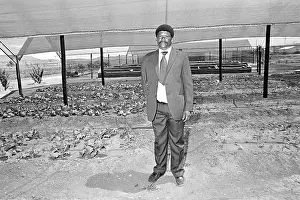 Burgersdorp: Owner of a vegetable project in Eureka, Burgersdorp