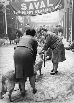 Sawdust: Owners and their dogs at a dog show