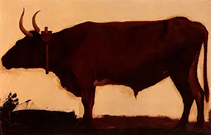 Bierstadt: Ox