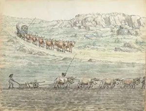 Brandes: Ox-Span for Covered Wagon and Plow