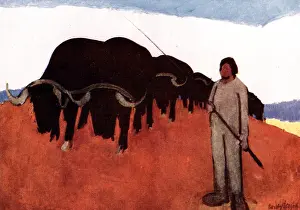 Leggett: Oxen Ploughing