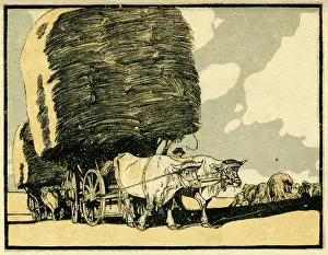 Haycart: Oxen pulling haycart at harvest time