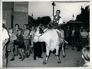 Herder: Oxen race in Dachau, Germany