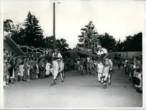 Herder: Oxen race in Dachau, Germany