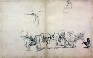 Fane: Oxen and Touleier, 1894