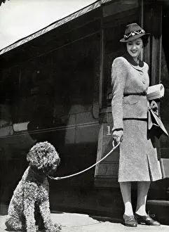 Suede: OXFORD SHOES 1938