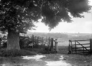 Brasenose: Oxfordshire country gate