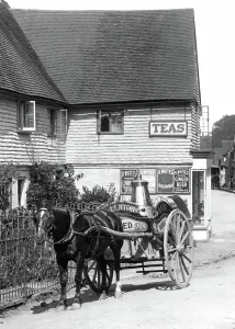 Oxted: Oxted, Milk Cart 1908