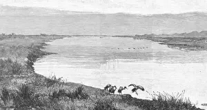 Egrets: OXUS RIVER (ABU DARYA)