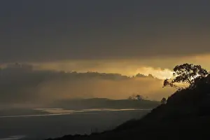 Southern European: Oyambre beach, Cantabria, Spain