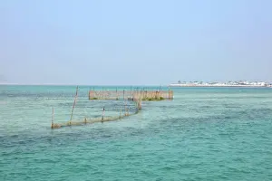 Reclamation: Oyster beds, Bahrain