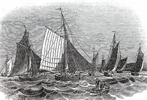 Oyster: An oyster fleet at work