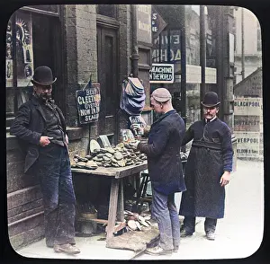 Hatted: OYSTER STALL, ENGLAND