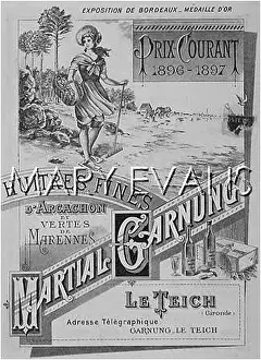 Arcachon: OYSTERS FROM ARCACHON