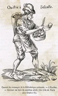Oysters: OYSTERS C16 PARIS