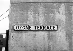 Ozone: OZONE TERRACE