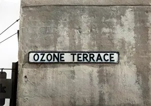Ozone: OZONE TERRACE
