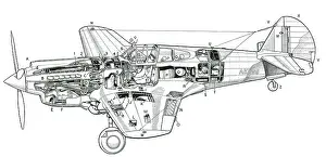 Tomahawk: P-40 Tomahawk IIB
