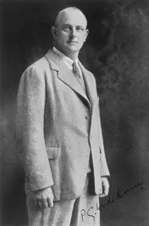 Wodehouse: P G WODEHOUSE