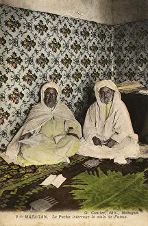 Consult: The Pacha seeks the answer from the Hand of Fatma