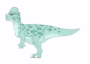 Idea: Pachycephalosaurus pencil drawing with digital color