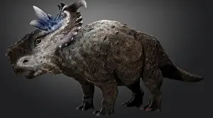 Pachyrhinosaurus: Pachyrhinosaur dinosaur, side view on gray background