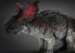 Pachyrhinosaurus: Pachyrhinosaur dinosaur, side view on gray background