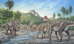 Pachyrhinosaurus: Pachyrhinosaurus, Chasmosaurus and Edmontosaurus
