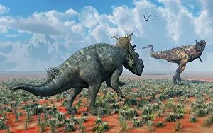 Ceratosaur: A Pachyrhinosaurus confronting a Carnotaurus