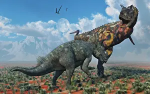 Ceratosaur: A Pachyrhinosaurus confronting a Carnotaurus