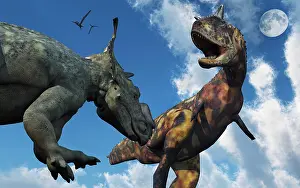 Ceratosaur: A Pachyrhinosaurus confronting a Carnotaurus