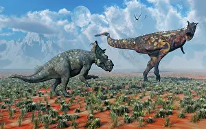 Ceratosaur: A Pachyrhinosaurus confronting a Carnotaurus