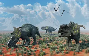 Pachyrhinosaurus: Pachyrhinosaurus dinosaurs grazing