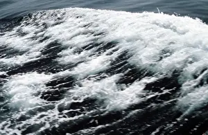 Sakhalin: Pacific waves, 1983
