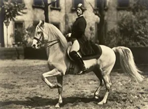 Paces: Pacing the Horse