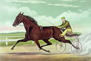 Sulky: Pacing king Robert J. record 2:01 1/2