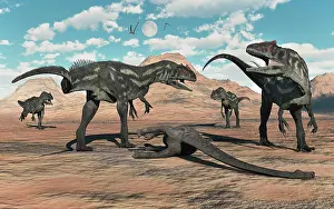 Surrounding: A pack of Allosaurus dinosaurs surrounding a dead sauropod