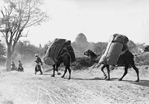 Loads: Pack animals, 1938